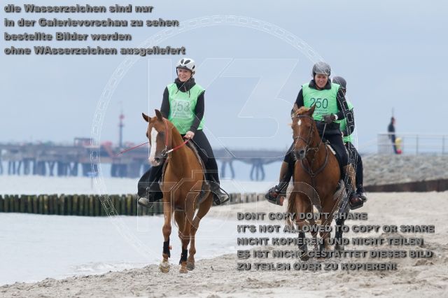 s_K3F04862.JPG